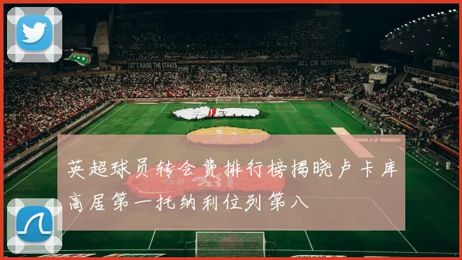 英超球员转会费排行榜揭晓卢卡库高居第一托纳利位列第八